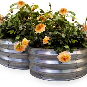 GARDMAX Silver Raised Garden Bed 2x2x1 ft Pack of 2 Classic Round-0