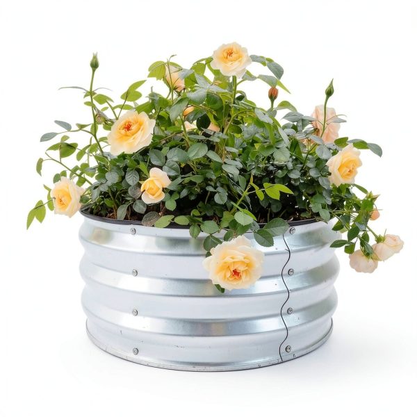 GARDMAX Silver Raised Garden Bed 2x2x1 ft Pack of 2 Classic Round-6