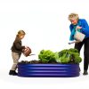 Plant & Plot Raised Garden Bed 4x2x1 ft Modern Oval Metal Outdoor-1