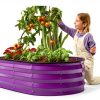 Plant & Plot Raised Garden Bed 4x2x1 ft Modern Oval Metal Outdoor-2