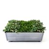 GARDMAX Silver Raised Garden Bed 8x4x2 ft Galvanized Metal Planter-5