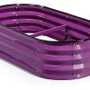 Plant & Plot Raised Garden Bed 4x2x1 ft Modern Oval Metal Outdoor-6