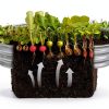 Raised Garden Bed Gardmax Oval Galvanized Silver 4x2x1 ft Pack of 2-2