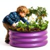 Plant & Plot Raised Garden Bed 4x2x1 ft Modern Oval Metal Outdoor-4