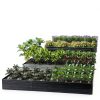Raised Garden Bed DIIYIV Galvanized Metal Outdoor Planter 12x4 2pcs-7