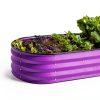 Plant & Plot Raised Garden Bed 4x2x1 ft Modern Oval Metal Outdoor-5