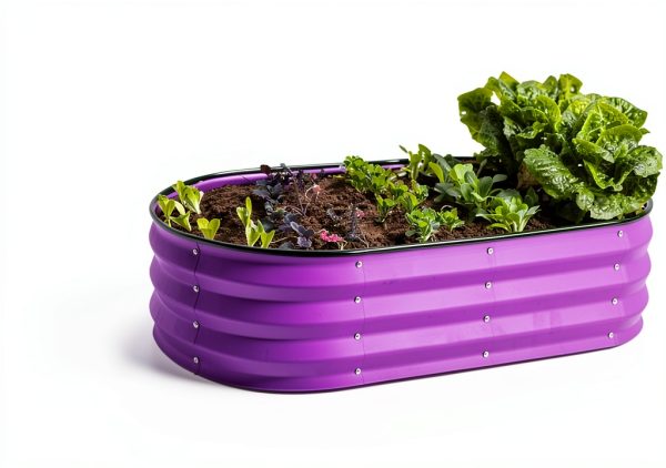 Plant & Plot Raised Garden Bed 4x2x1 ft Modern Oval Metal Outdoor-5
