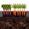 Garden Raised Bed Zunatu 10x2x1ft 2 Pack Silver Galvanized Metal-3
