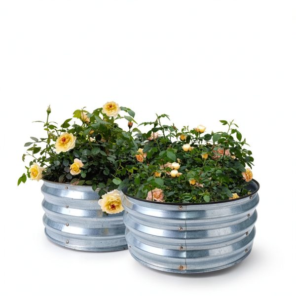 GARDMAX Silver Raised Garden Bed 2x2x1 ft Pack of 2 Classic Round-1