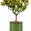 Vego Garden Rolling Raised Bed Planter Olive Green Metal Self Watering-0