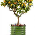 Vego Garden Rolling Raised Bed Planter Olive Green Metal Self Watering-0