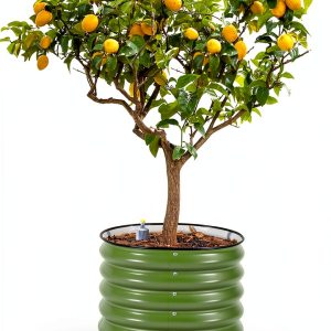 Vego Garden Rolling Raised Bed Planter Olive Green Metal Self Watering-0