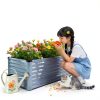 GARDMAX Silver Raised Garden Bed 8x4x2 ft Galvanized Metal Planter-8